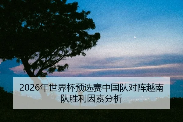 nian-shi-jie-bei-yu-xuan-sai-zhong-guo-dui-dui-zhen-yue-nan-dui-sheng-li-yin-su-fen-xi-2-212.jpg