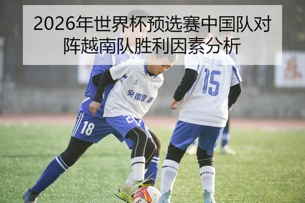 2026年世界杯预选赛中国队对阵越南队胜利因素分析