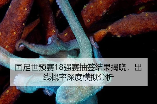 国足世预赛18强赛抽签结果揭晓，出线概率深度模拟分析