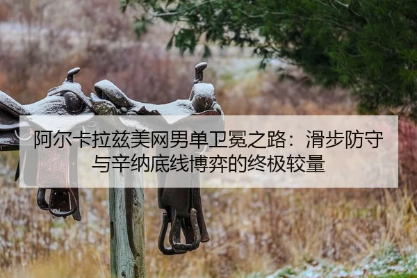 a-er-ka-la-zi-mei-wang-nan-dan-wei-mian-zhi-lu-hua-bu-fang-shou-yu-xin-na-di-xian-bo-yi-de-zhong-ji-jiao-liang-2-985.jpg