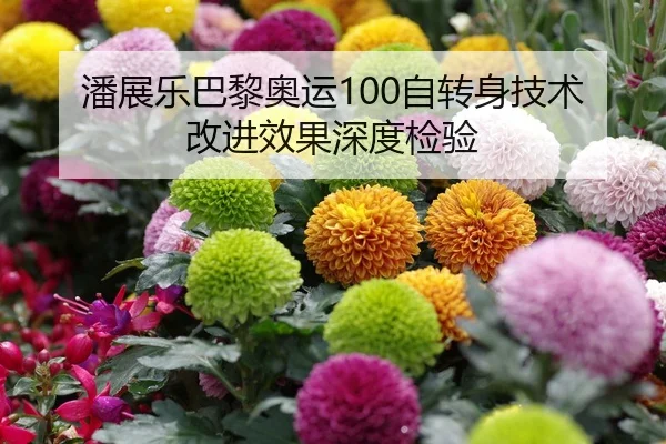 潘展乐巴黎奥运100自转身技术改进效果深度检验