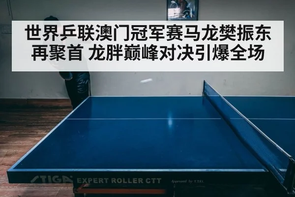 世界乒联澳门冠军赛马龙樊振东再聚首 龙胖巅峰对决引爆全场