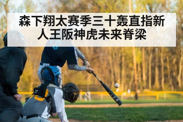 森下翔太赛季三十轰直指新人王阪神虎未来脊梁