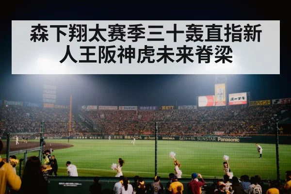 japanese baseball stadium
